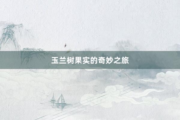 玉兰树果实的奇妙之旅