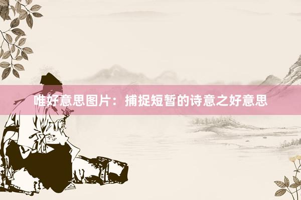 唯好意思图片：捕捉短暂的诗意之好意思