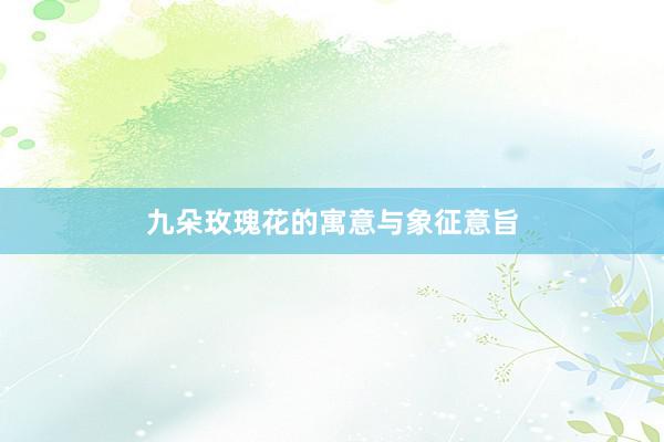九朵玫瑰花的寓意与象征意旨