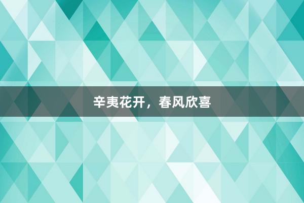 辛夷花开，春风欣喜