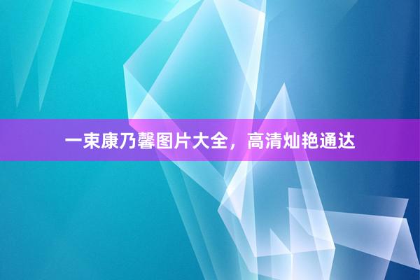 一束康乃馨图片大全，高清灿艳通达
